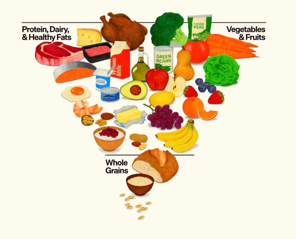 New US Food Pyramid